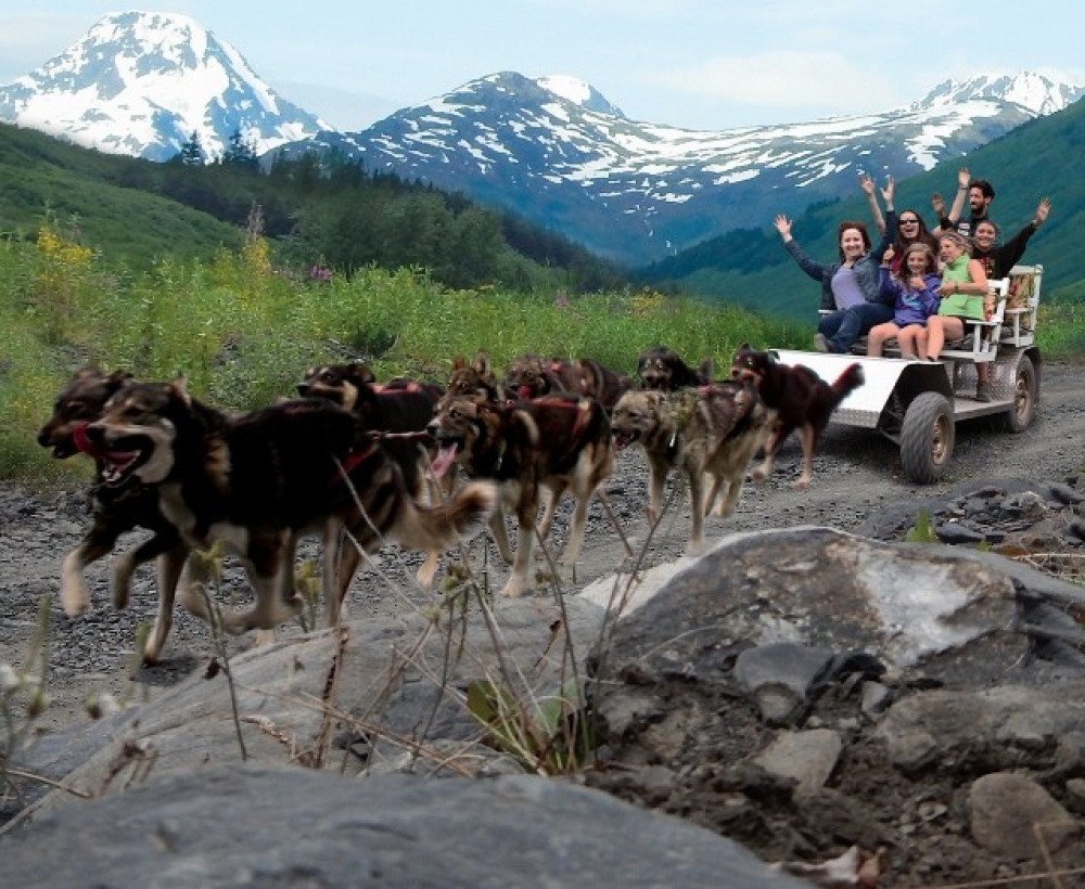 Cruise Ship Tour and Transfer: Whittier to Anchorage Private