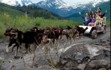 Salmon Berry Travel & Tours165