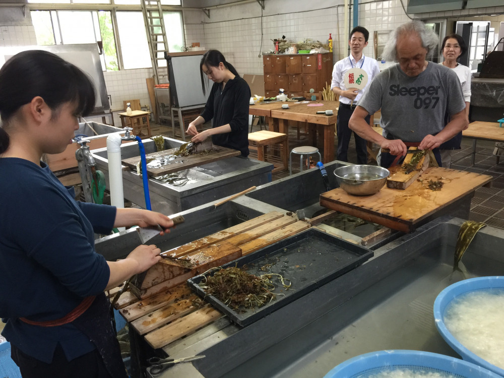 Private Washi Paper Making Experience and Sake Brewery Tour from Tokyo