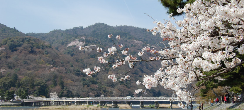 Kyoto Bus Tour : Sagano Scenic Railway & Hozu-gawa River Boat Ride(SW)