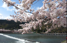 Beauty of Japan2