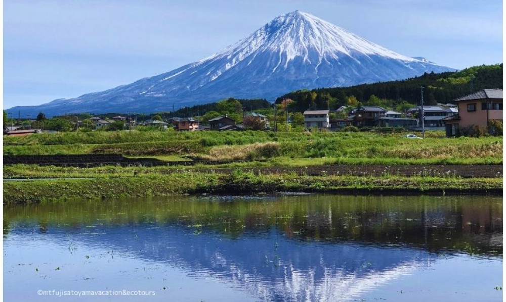 Village E-bike Ecotour And Local Sake Tasting At The Foot Of Mt. Fuji