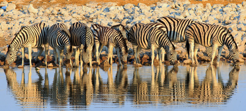 6 Day Sossusvlei, Swakopmund and Etosha National Park Tour with Lodging