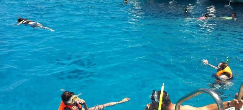 Ras Mohammed National Park & White Island Snorkeling Tour by Boat