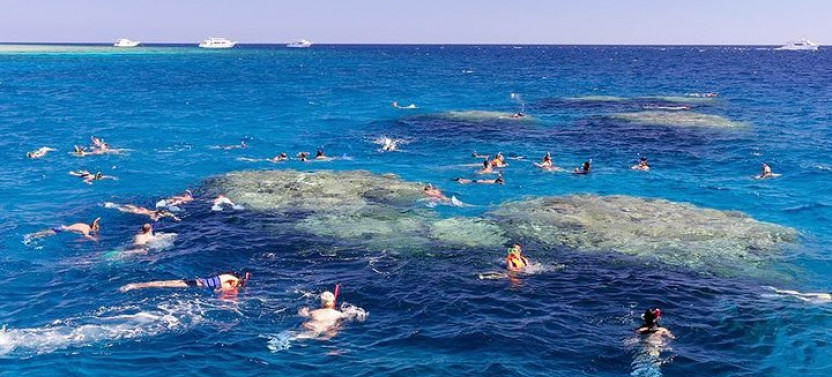 Ras Mohammed National Park & White Island Snorkeling Tour by Boat