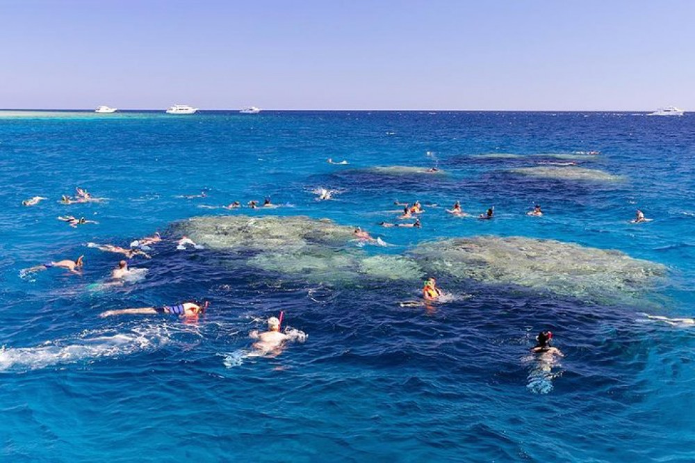 Ras Mohamed Park And The White Island Snorkeling Tour By Boat