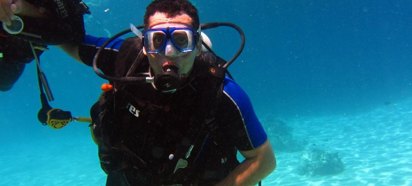 Diving & Snorkeling Day Trip
