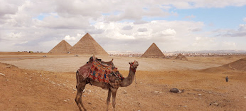 Private Half-Day Tour of the Giza Pyramids & Great Sphinx