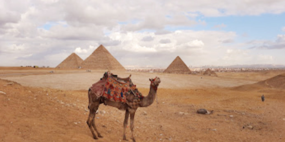 Pyramids Of Giza Half Day Tour