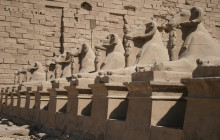 Egypt Direct Tours4