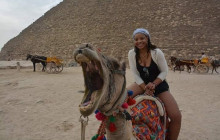 Egypt Direct Tours3