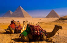 Egypt Direct Tours4