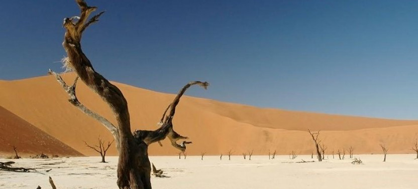 4 Day Tour of Sossusvlei and Swakopmund with Lodging