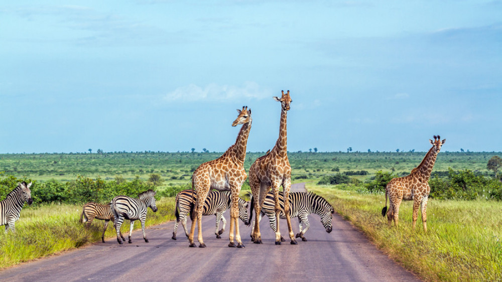 5 Day Sossusvlei, Swakopmund with Etosha National Park Lodging