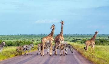 A picture of 5 Day Sossusvlei, Swakopmund with Etosha National Park Lodging