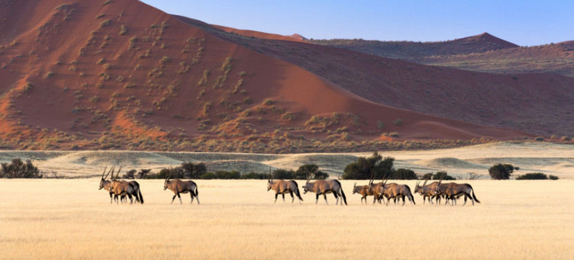 3-Day Sossusvlei Adventure with Camping