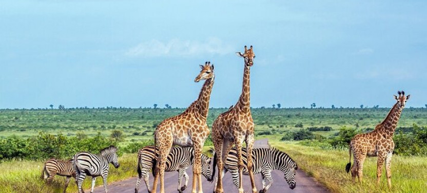 5 Day Sossusvlei, Swakopmund with Etosha National Park Camping