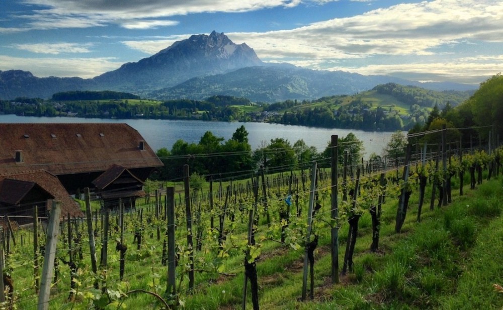 Private Lake Lucerne Panorama & Country Walk