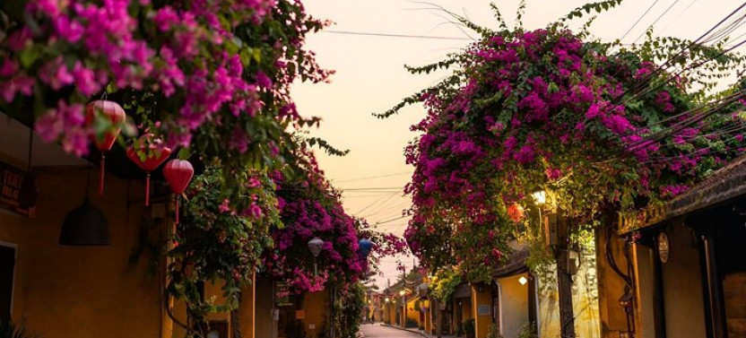 From Hoi An: Walking Tour - Street Food Adventure