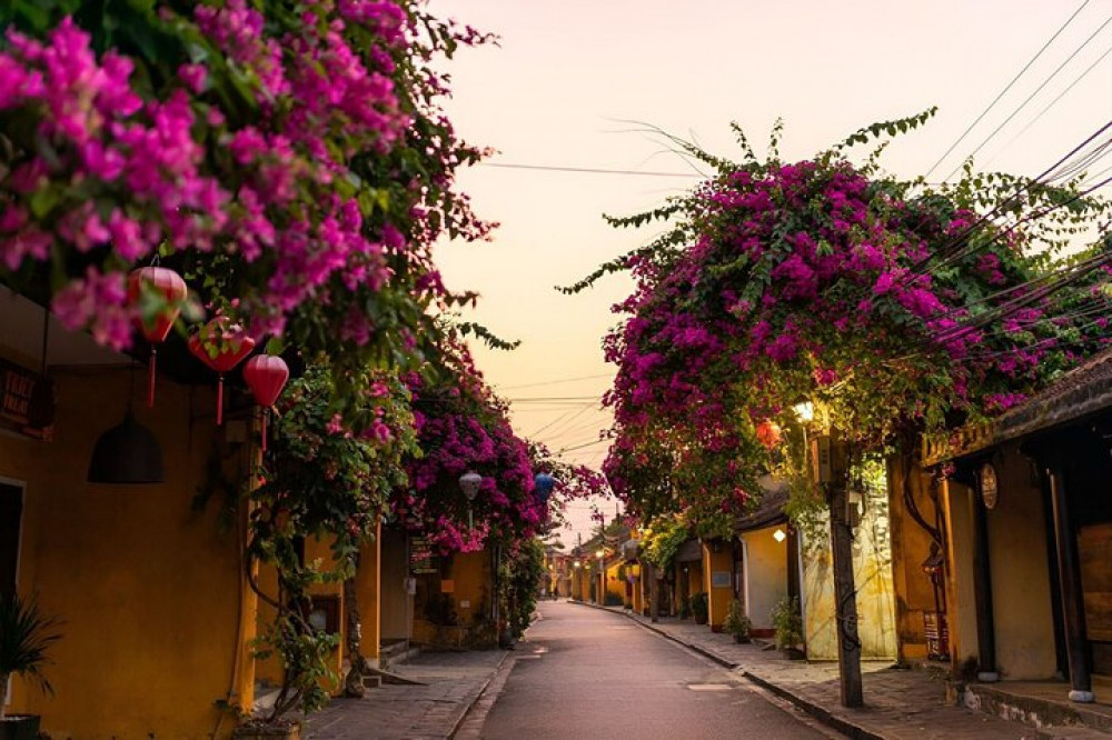 From Hoi An: Walking Tour - Street Food Adventure