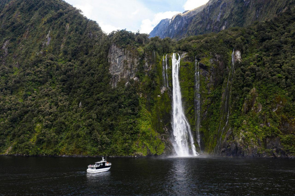 Milford Sound Business Class