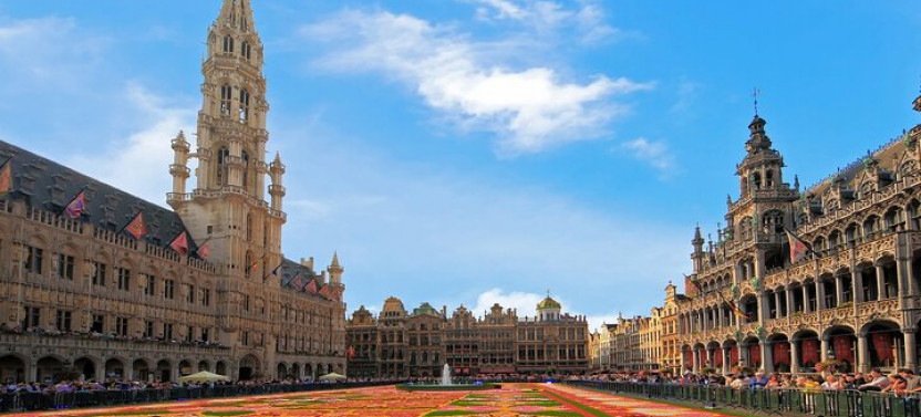 Private Tour: Best of Brussels Half Day From Brussels