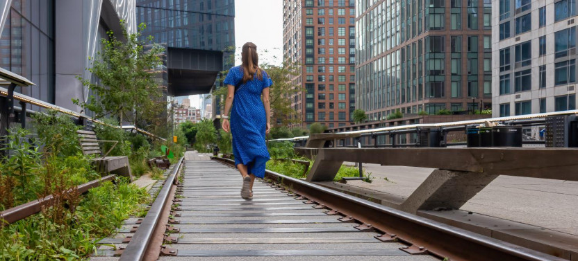 High Line, Chelsea, Hudson Yards Walking Tour with Optional Edge Admission