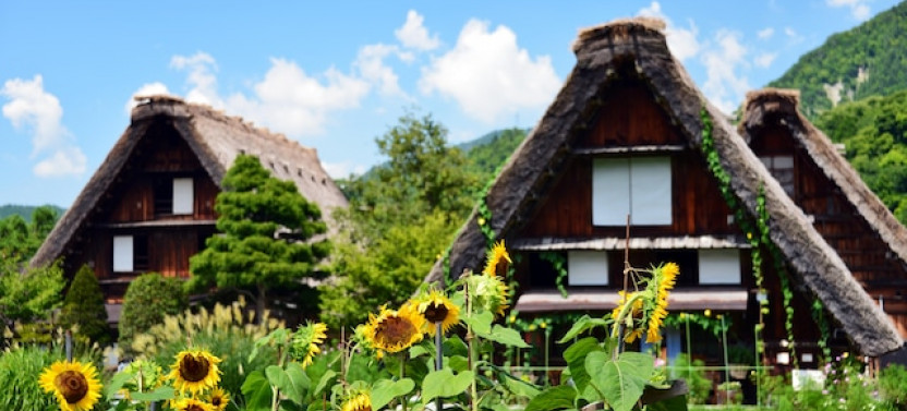Shirakawa-go & Kanazawa One Day Bus Tour　