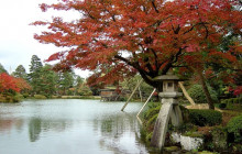 Beauty of Japan3