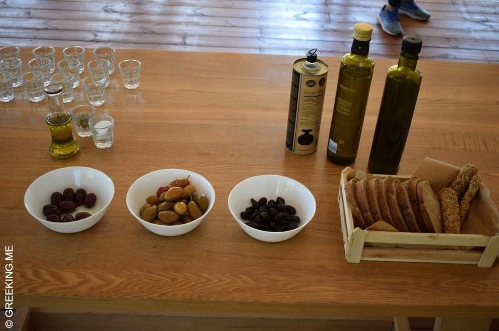 Private Olive Oil Tasting & Farm Tour Athens Project Expedition