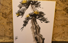Beauty of Japan11