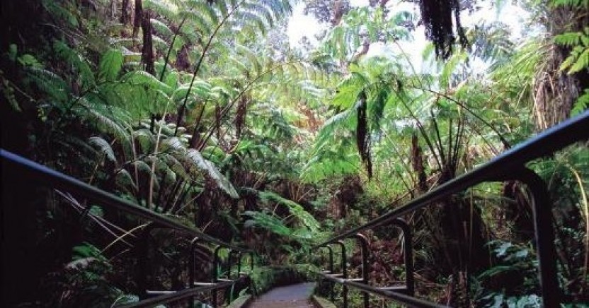Oahu: Grand Circle Island Tour