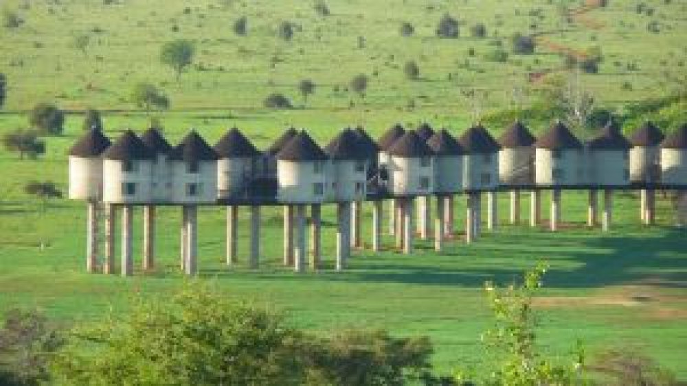 3 Days Safari Tsavo East and Taita Hills Saltlick Lodge from Malindi