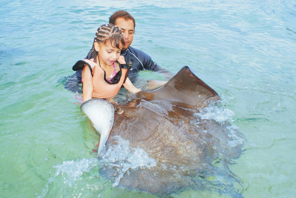 Everybody Loves Rays & Sharks! - Cozumel | Project Expedition