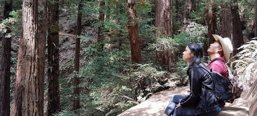 Muir Woods Tour to California’s Redwoods