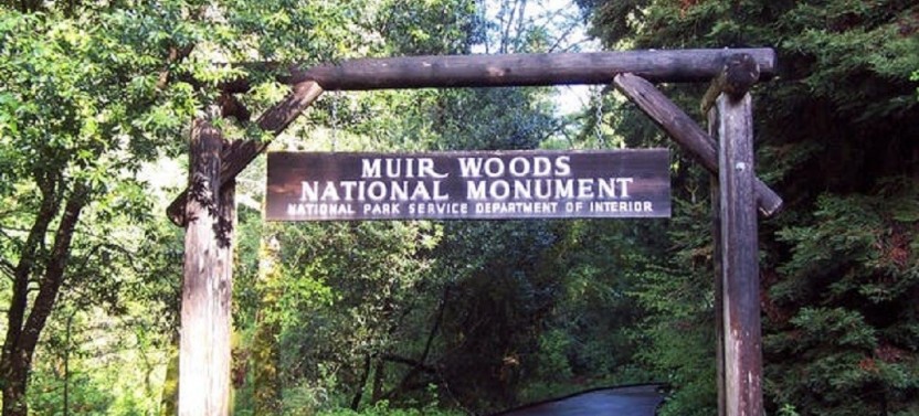 San Francisco Combo: Muir Woods & Bay Cruise