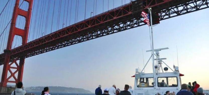 San Francisco Combo: Muir Woods & Bay Cruise