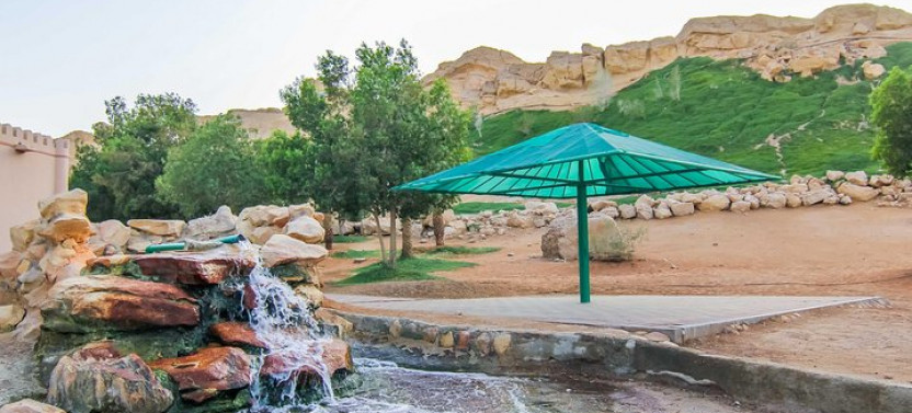 Private Tour: Al Ain City Sightseeing with Lunch from Dubai