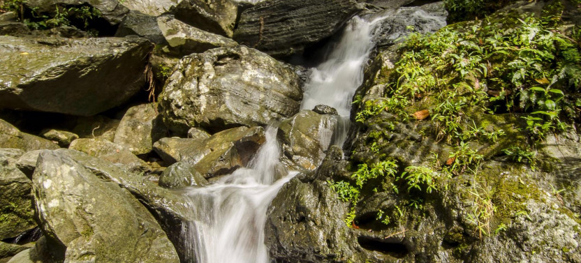 El Yunque & BioBay Combo Tour