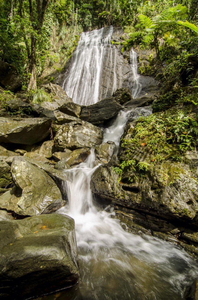 El Yunque & BioBay Combo Tour