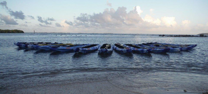 Fajardo Bioluminescent Bay Kayak Adventure Tour