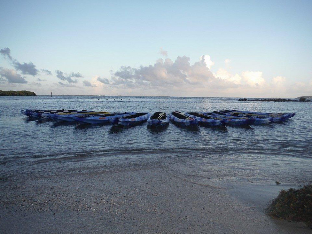 Fajardo Bioluminescent Bay Kayak Adventure Tour