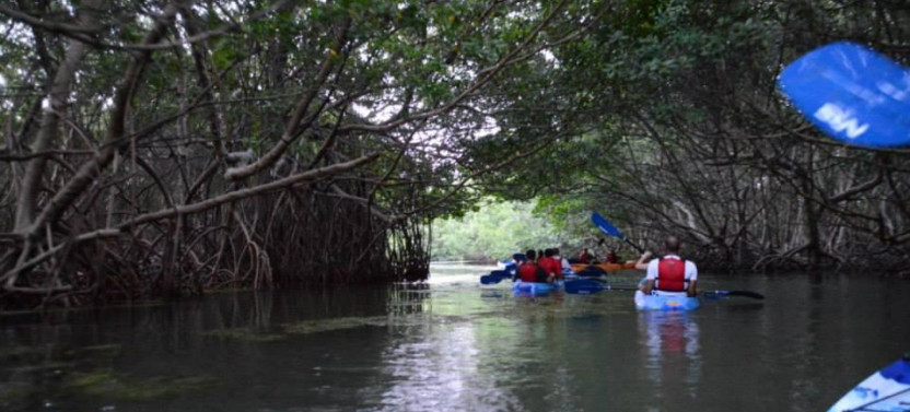 Fajardo Bioluminescent Bay Kayak Adventure Tour