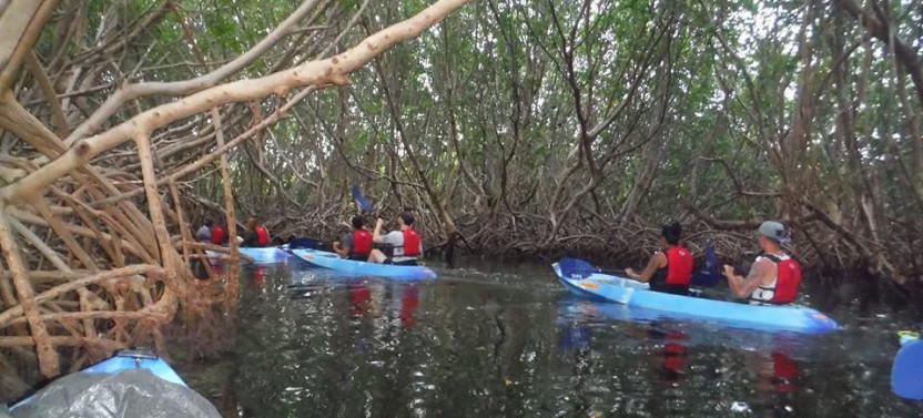 Fajardo Bioluminescent Bay Kayak Adventure Tour