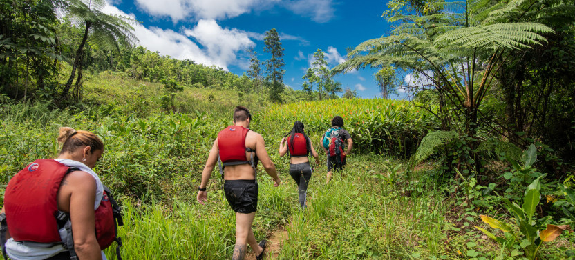 El Yunque Rainforest Off the Beaten Path Hiking Tour