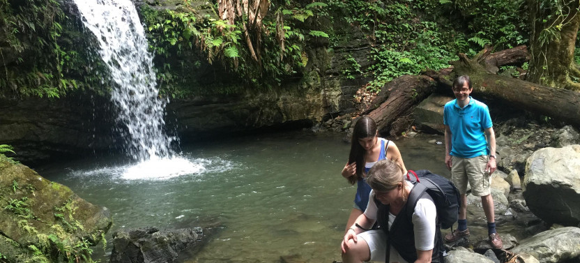 Private El Yunque Rainforest Tour