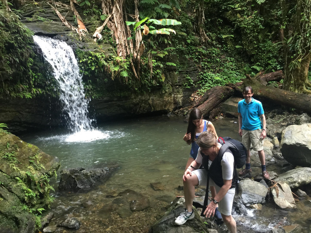 Private El Yunque Rainforest Tour