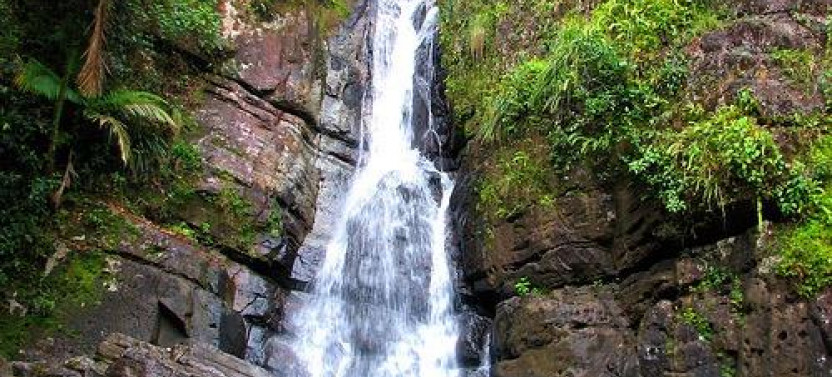 Private El Yunque Rainforest Tour