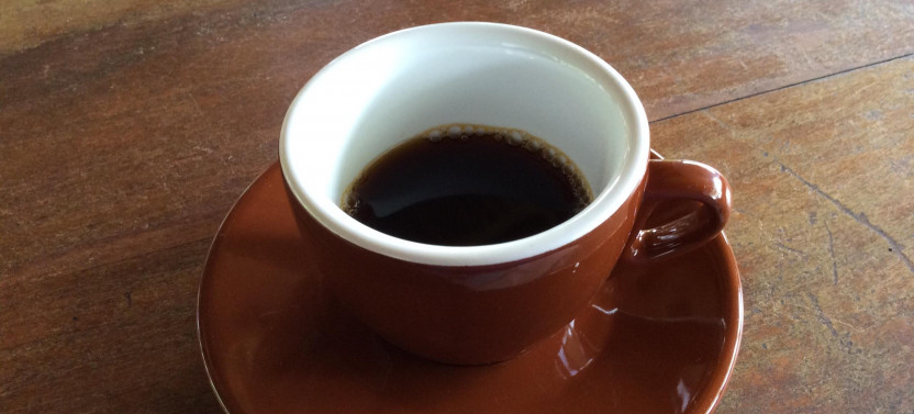 Coffee Plantation Tour