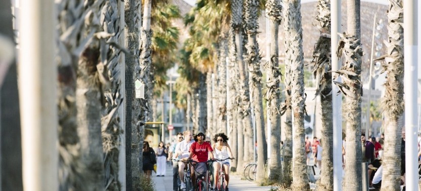 Barcelona: Highlights of Barcelona Guided Bike & E-Bike Tour